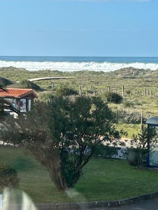Playa De Berria -Apartamento Con Piscina Y Vistas Al Mar Santoña Dış mekan fotoğraf